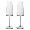 Villeroy & Boch V&B - MetroChic Signature Champagne Flute Set 2pce 450ml -Villeroy & Boch 118902 Large