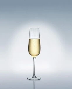 Villeroy & Boch Rose Garden Flute Glass, Set Of 4 13 Villeroy & Boch Rose Garden Flute Glass, Set Of 4 -Villeroy & Boch 22328267 fpx