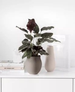 Villeroy & Boch Manufacture Collier Tall Vase Carre 9 Villeroy & Boch Manufacture Collier Tall Vase Carre -Villeroy & Boch 23613164 fpx